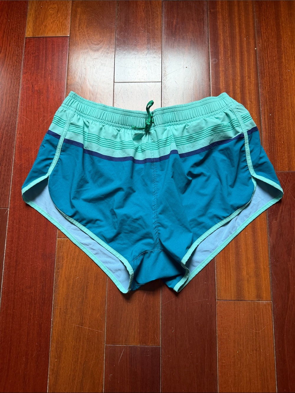 Men's Aqua Stripe Swim Trunks - Teal